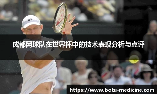 成都网球队在世界杯中的技术表现分析与点评